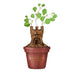 Half Moon Bay: Centrotavola Harry Potter Mandragola | Vaso Porta Fiori personalizzato Harry Potter, Licenza Ufficiale 100%, ideale come decorazione casa, centrotavola moderna o Harry Potter Gadget