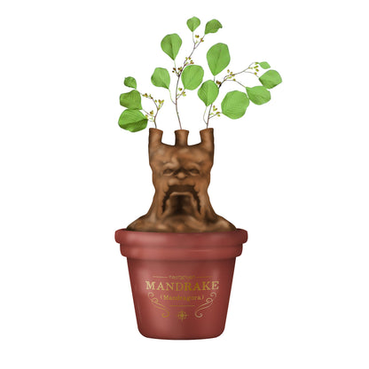 Half Moon Bay: Centrotavola Harry Potter Mandragola | Vaso Porta Fiori personalizzato Harry Potter, Licenza Ufficiale 100%, ideale come decorazione casa, centrotavola moderna o Harry Potter Gadget