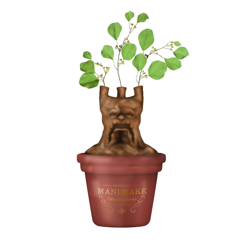 Half Moon Bay: Centrotavola Harry Potter Mandragola | Vaso Porta Fiori personalizzato Harry Potter, Licenza Ufficiale 100%, ideale come decorazione casa, centrotavola moderna o Harry Potter Gadget