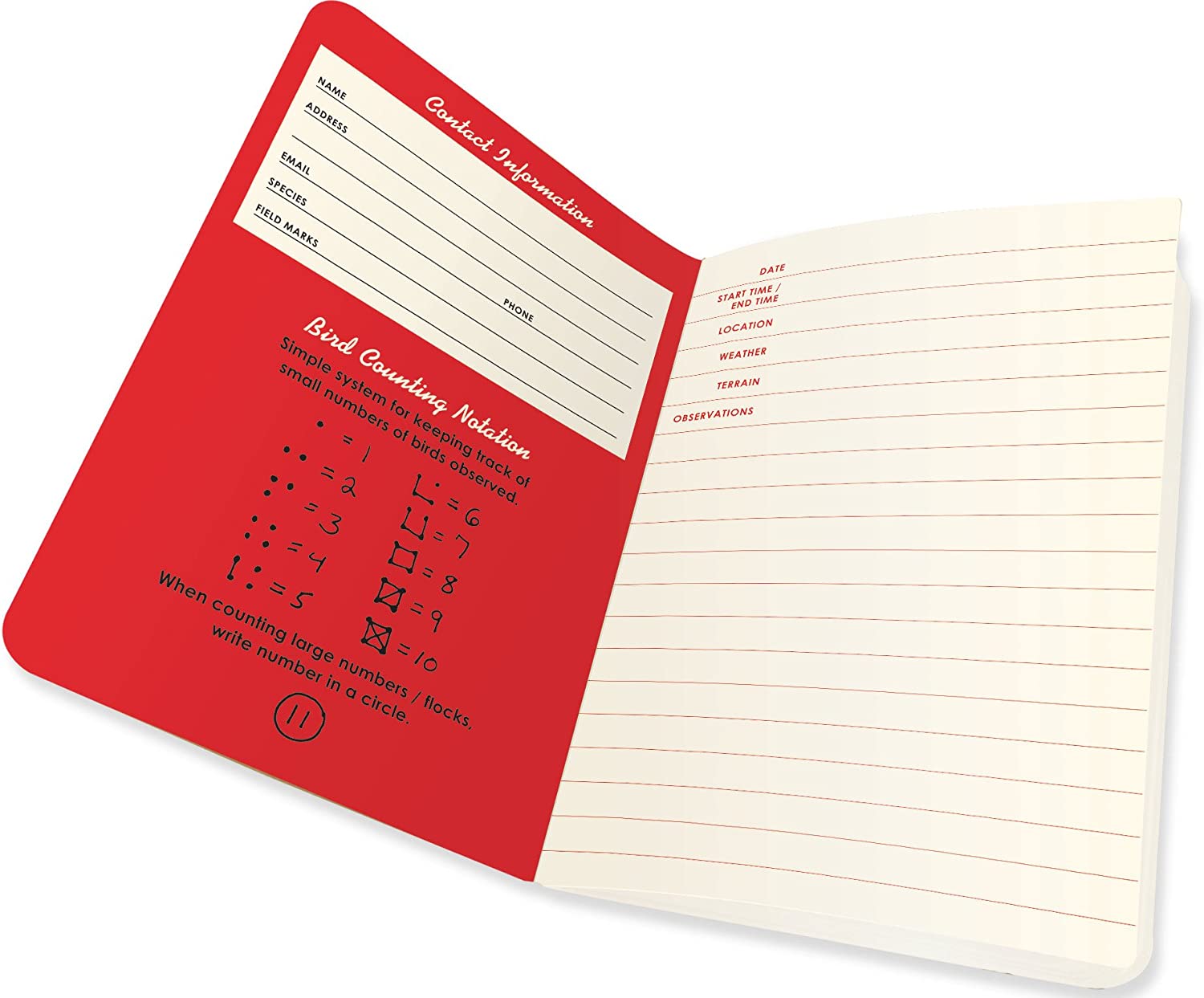 Urban Birdwatching Passport Sized Mini Notebook