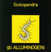 Scolopendra -Ltd-