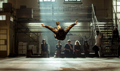 Fly