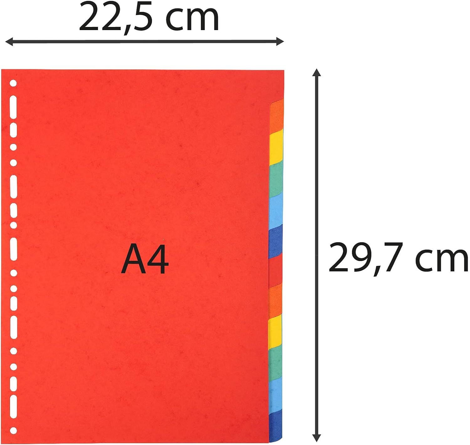 Exacompta - Ref 2012E - Forever Collection - 100% Recycled Dividers - Suitable for A4 Documents, 220gsm 100% Recycled Card, 12 Position - Multicoloured