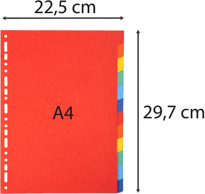 Exacompta - Ref 2012E - Forever Collection - 100% Recycled Dividers - Suitable for A4 Documents, 220gsm 100% Recycled Card, 12 Position - Multicoloured