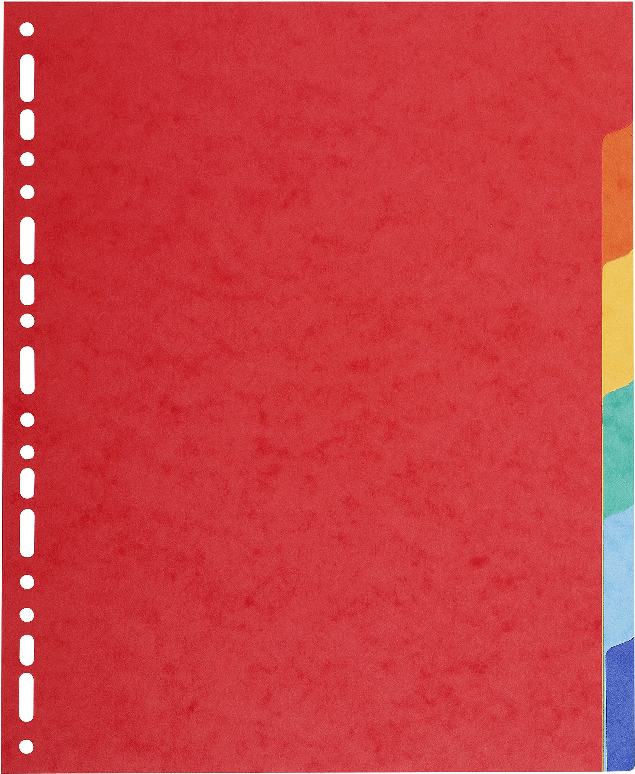 Exacompta - Ref 2106E - Forever Collection - 100% Recycled Dividers - Suitable for A4+ Documents, 220gsm 100% Recycled Card, 6 Position - Multicoloured