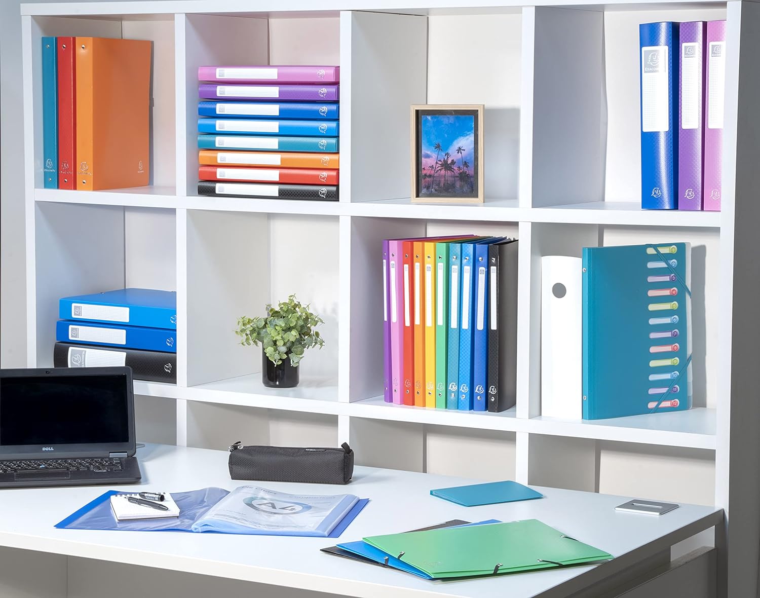 Exacompta - Ref 8541E - Soft PP Display Book - Suitable for A4 Documents, Made from Polypropylene, Lightweight, 40 Pockets, 80 Viewing Pages - Black Cover