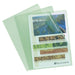 Exacompta - Ref 56113E - Grained PP Cut Flush Folder - Suitable for A4 Documents, 0.1mm Polypropylene, Top-Right Opening, Cut Out For Easy Opening - Green (Bag of 10
