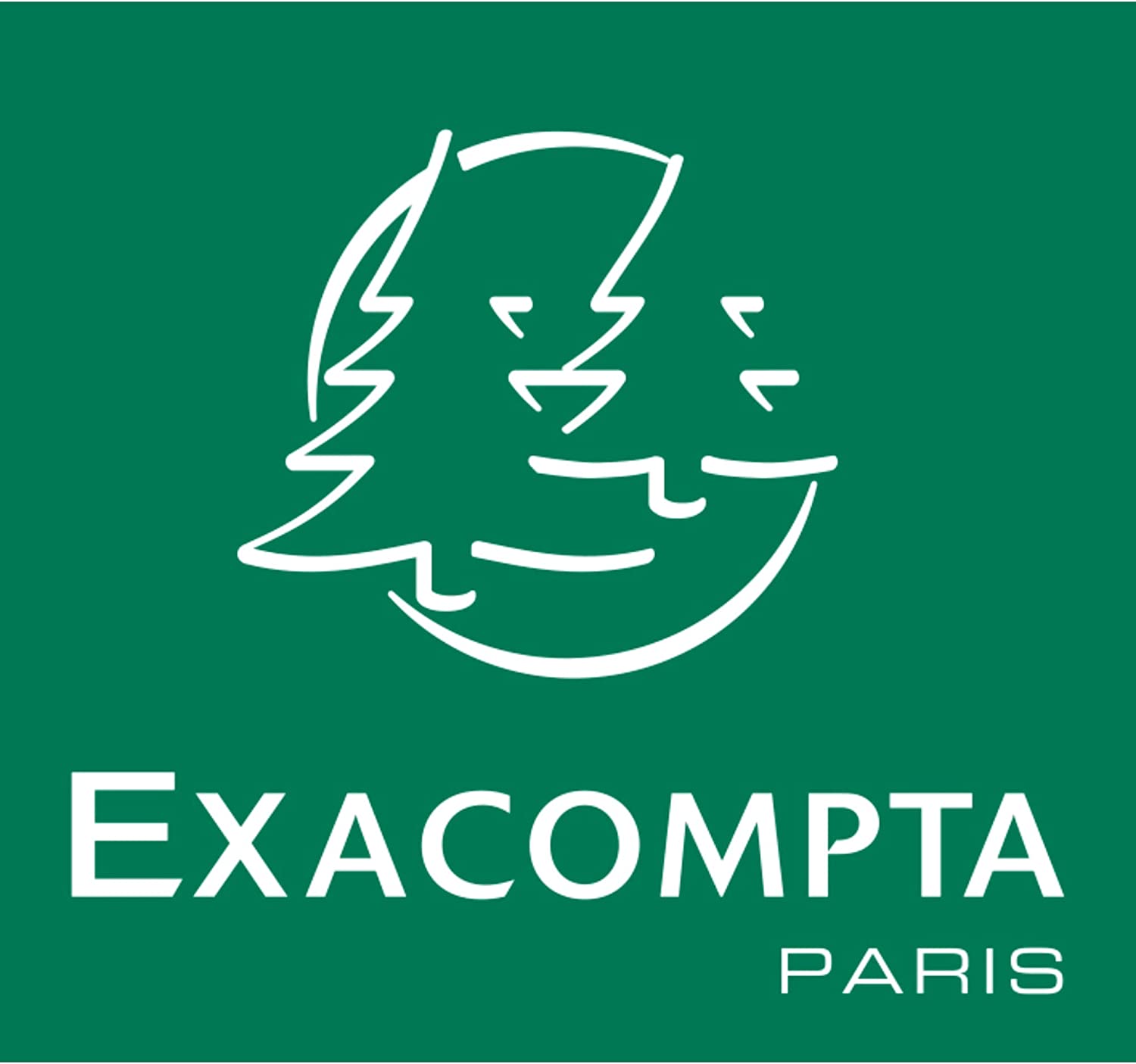 Exacompta 40339E - Bobina 1 pliegue térmico para tarjeta, 10 unidades, 57 x 40 mm