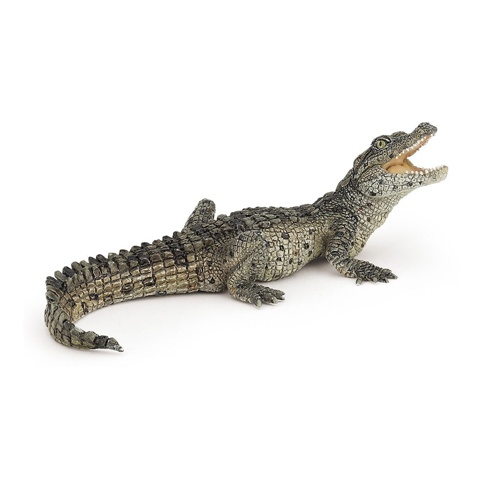 PAPO Wild Animal Kingdom Baby Crocodile Toy Figure, Multi-colour (50137)