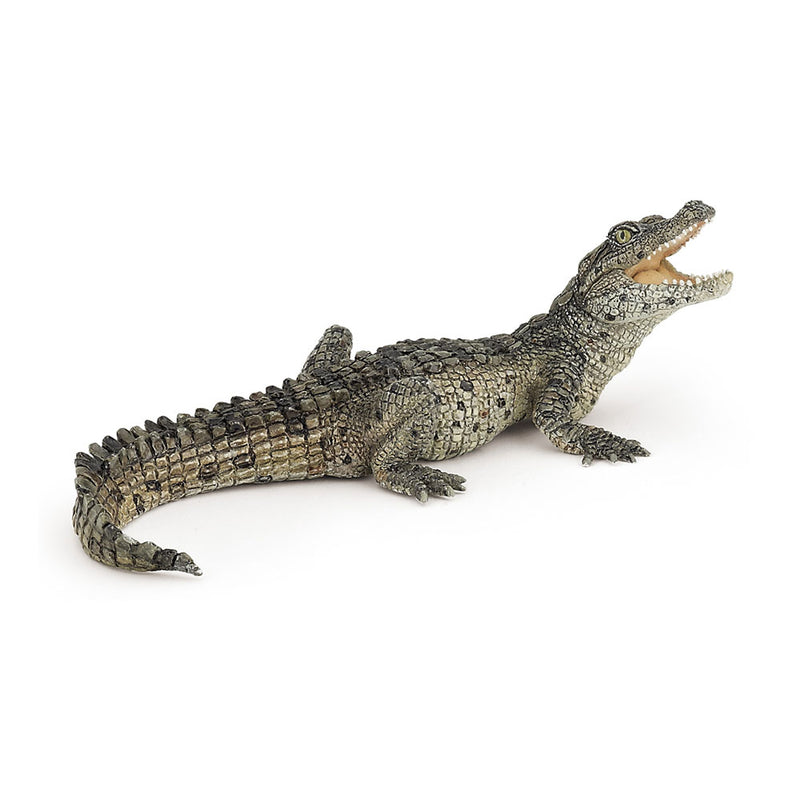 PAPO Wild Animal Kingdom Baby Crocodile Toy Figure, Multi-colour (50137)