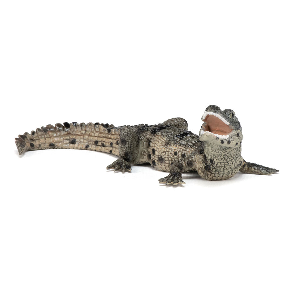 PAPO Wild Animal Kingdom Baby Crocodile Toy Figure, Multi-colour (50137)