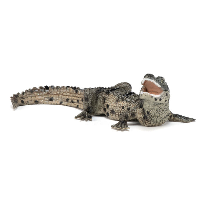 Papo WILD ANIMAL KINGDOM Figurine, 50137 Baby Crocodile, Multicolour