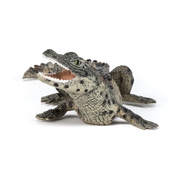 Papo WILD ANIMAL KINGDOM Figurine, 50137 Baby Crocodile, Multicolour