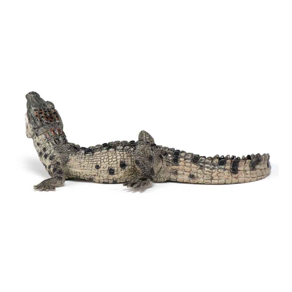 PAPO Wild Animal Kingdom Baby Crocodile Toy Figure, Multi-colour (50137)