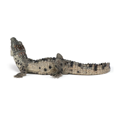PAPO Wild Animal Kingdom Baby Crocodile Toy Figure, Multi-colour (50137)