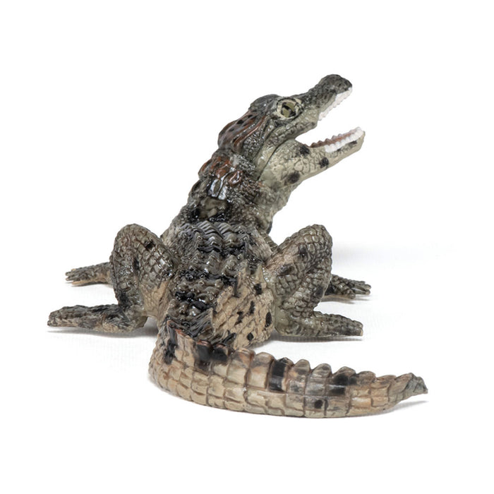 Papo WILD ANIMAL KINGDOM Figurine, 50137 Baby Crocodile, Multicolour