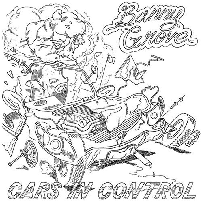 Cars In Control