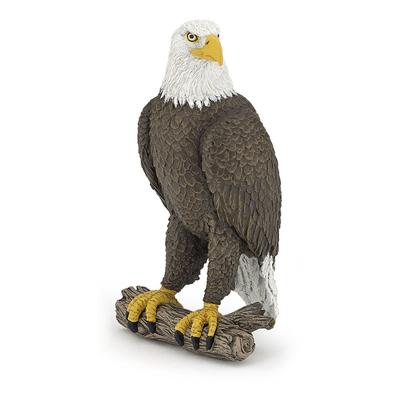 PAPO Wild Animal Kingdom Sea Eagle Toy Figure, Brown/White (50181)