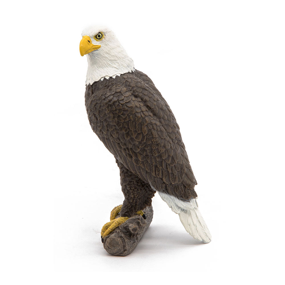PAPO Wild Animal Kingdom Sea Eagle Toy Figure, Brown/White (50181)