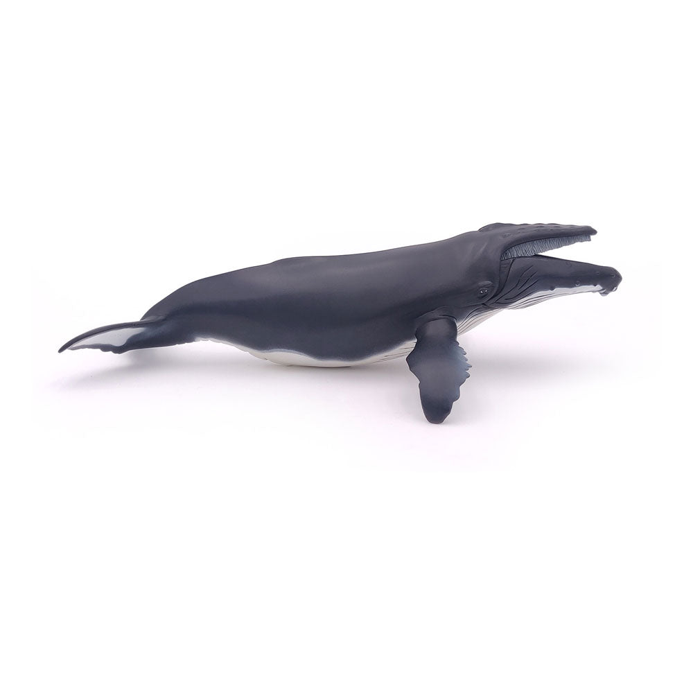 Papo MARINE LIFE Figurine, 56001 Humpback Whale, Multicolour