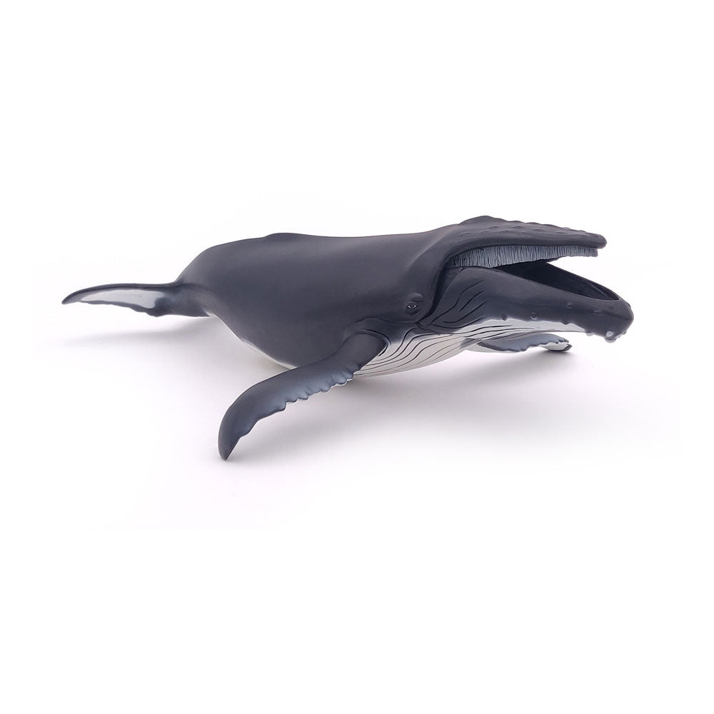 Papo MARINE LIFE Figurine, 56001 Humpback Whale, Multicolour