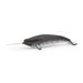PAPO Marine Life Narwhal Toy Figure, Grey (56016)