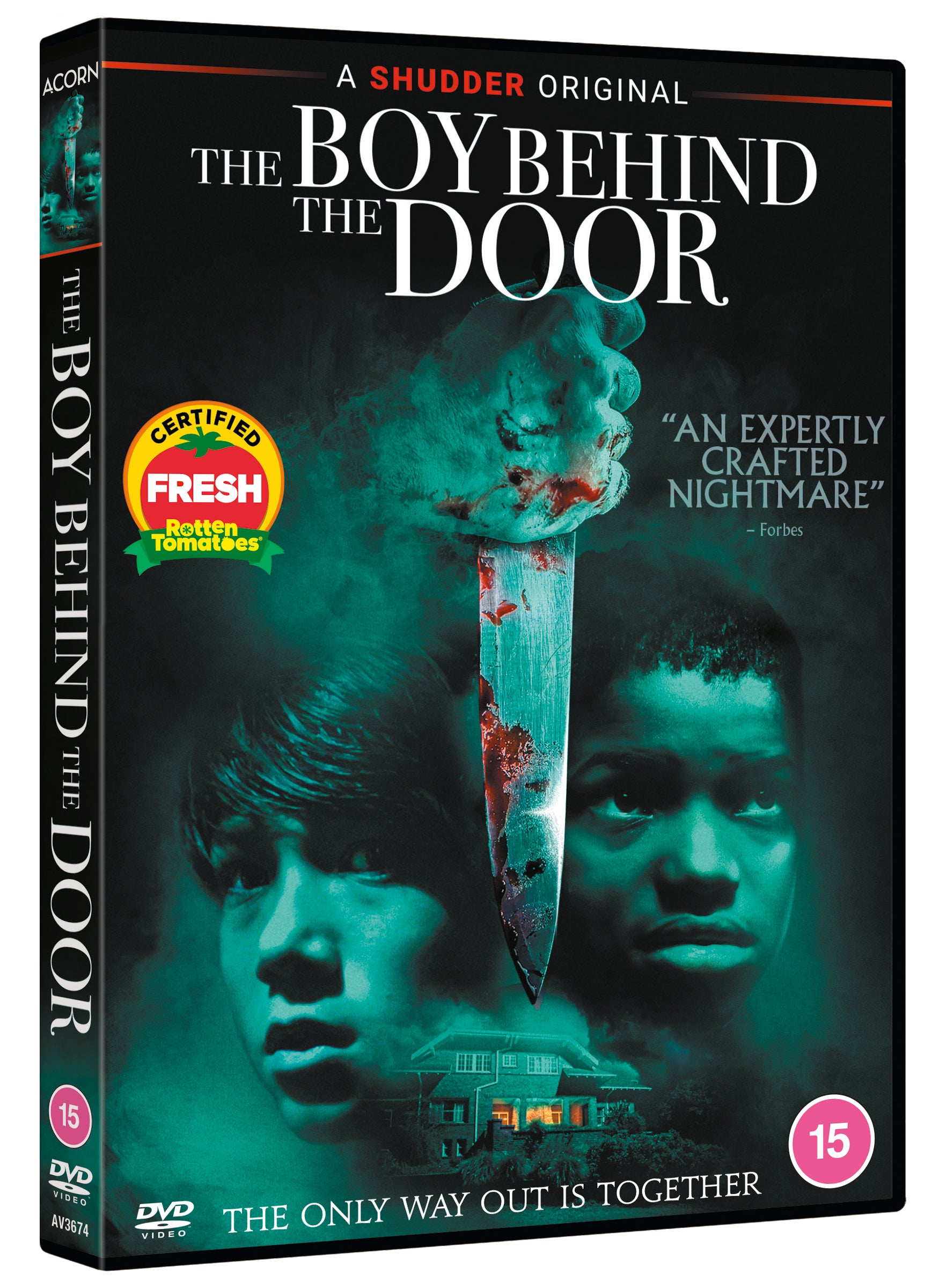 The Boy Behind the Door