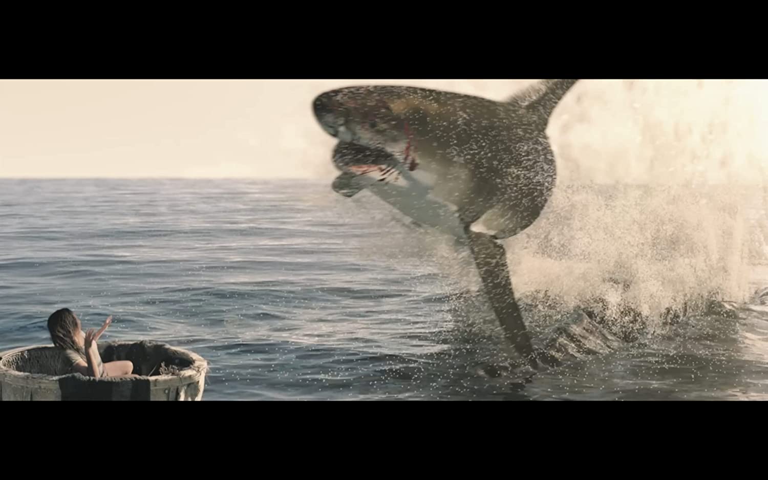 The Requin