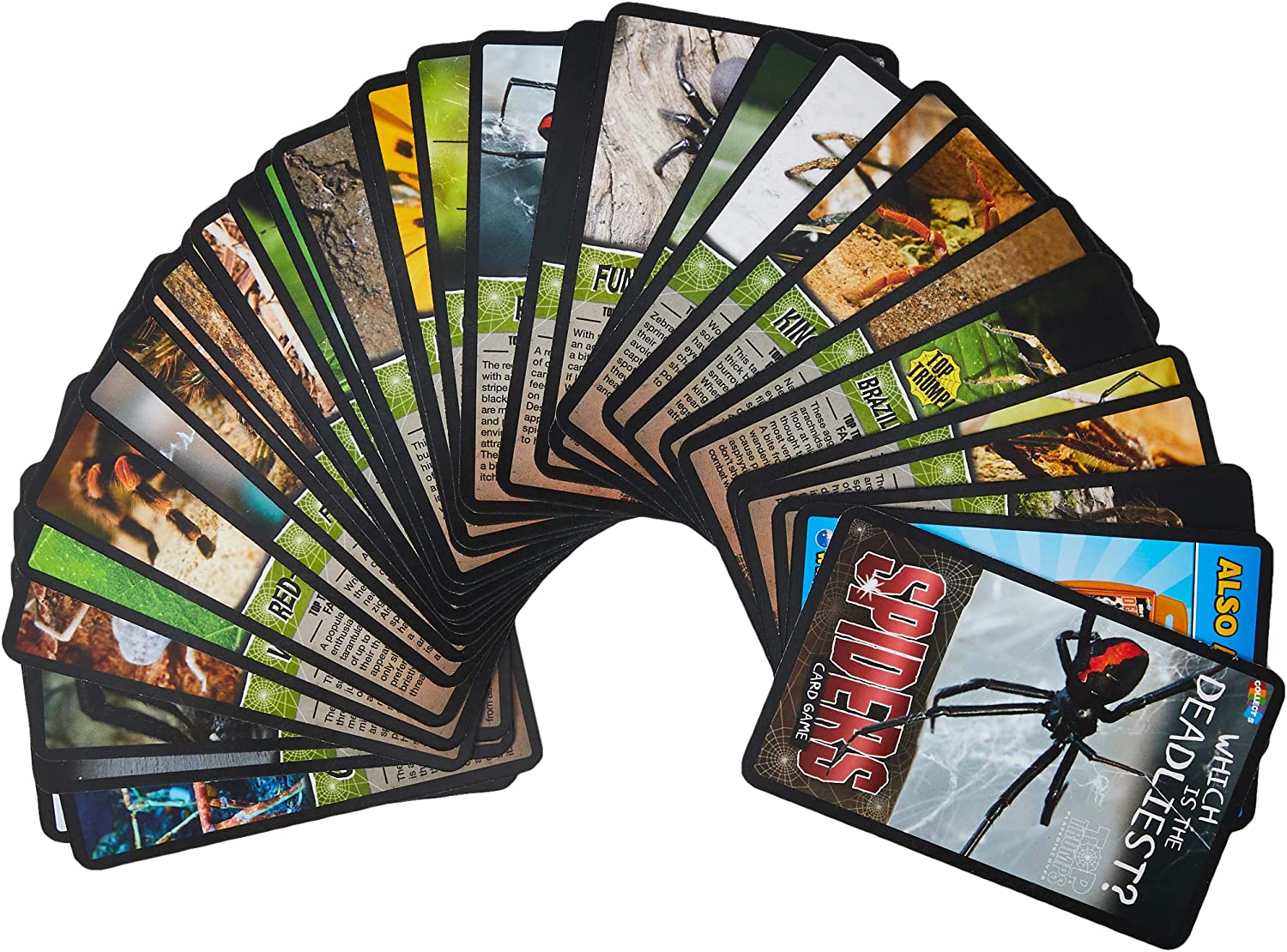 Top Trumps Spiders Classics Card Game, Discover facts about the Goliath bird eater, Black Widow and Wheel Spider in this educational pack, 2 plus players makes a great gift for ages 6 plus