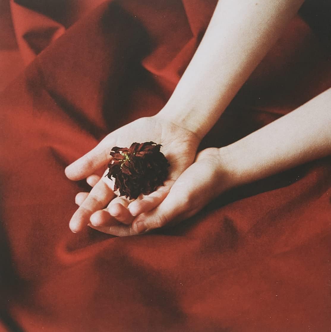 The Gods We Can Touch