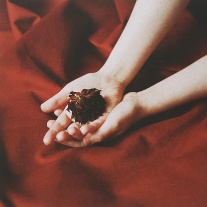 The Gods We Can Touch