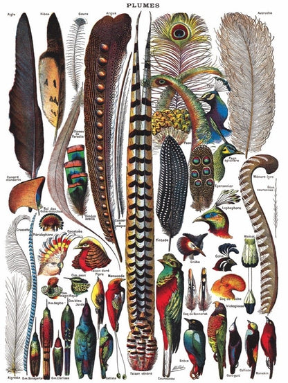 New York Puzzle Company FEATHERS - PLUMES