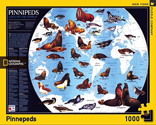 Pinnipeds - Nypc National Geographic Collectie Puzzel 1000 Stukjes - [Dutch Import]