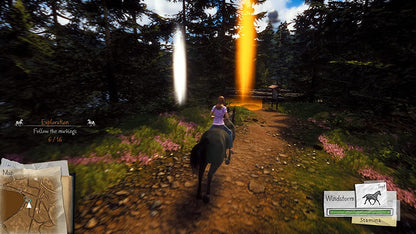 WINDSTORM: START OF A GREAT FRIENDSHIP PlayStation 4