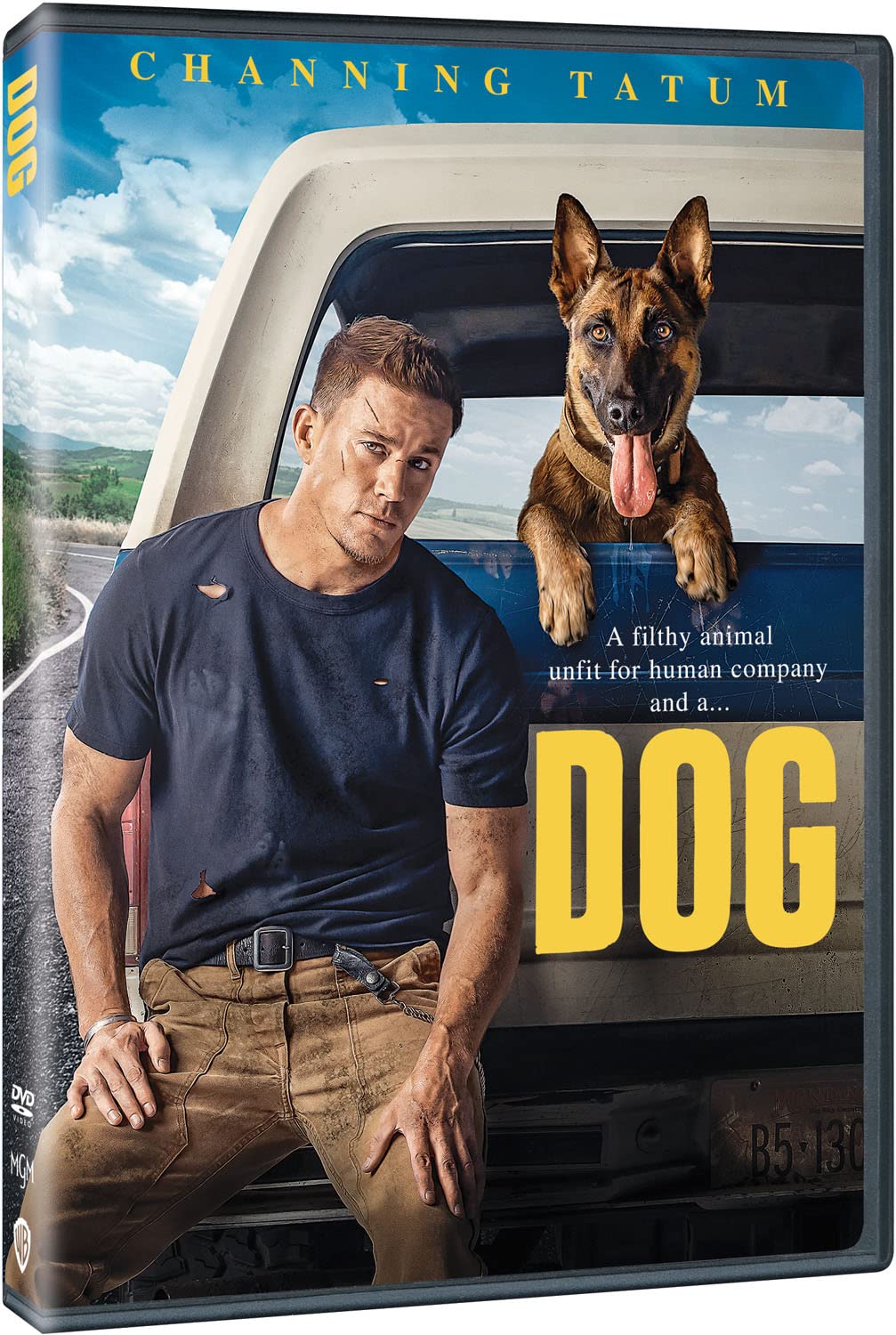 Dog