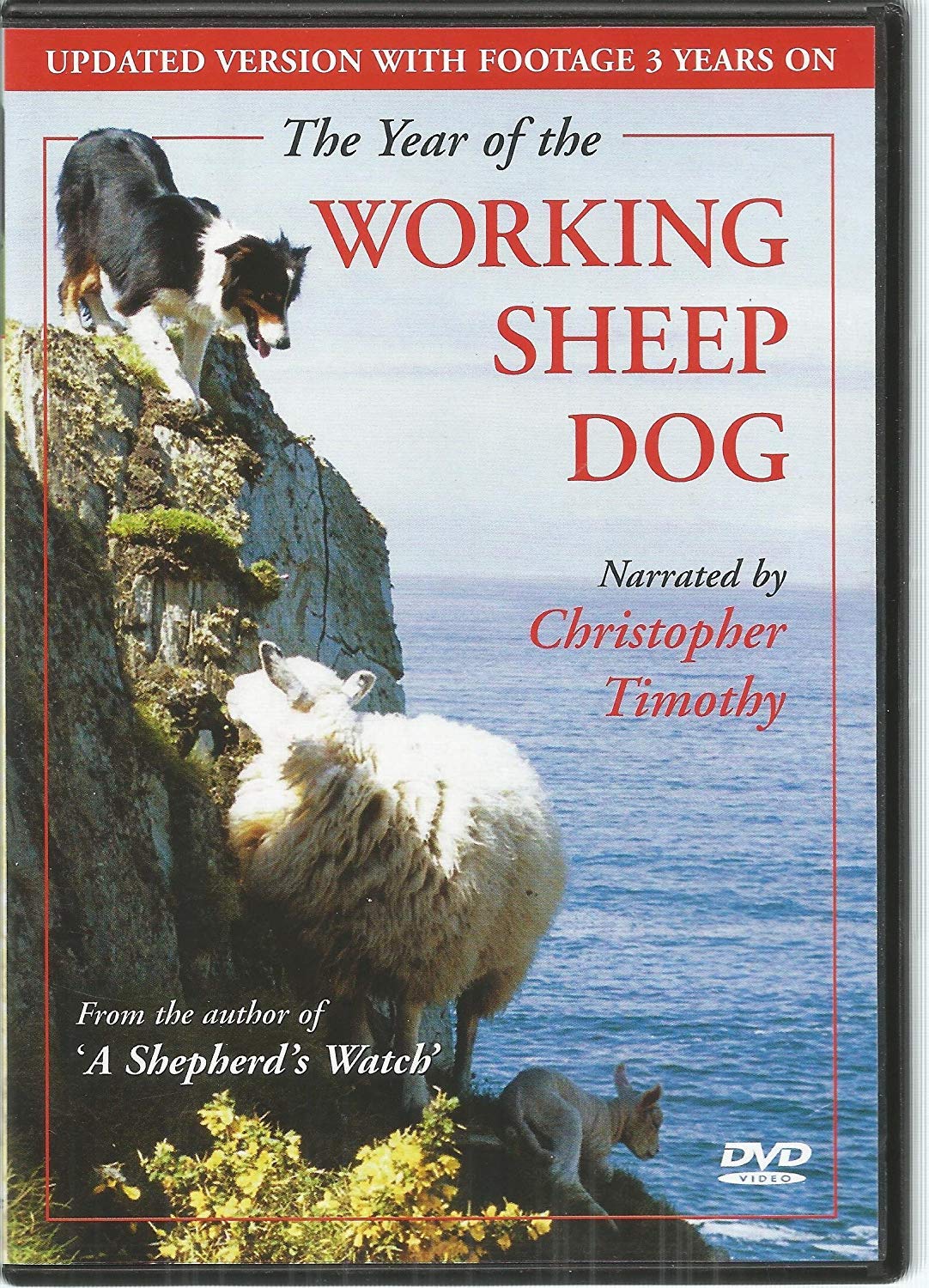 The Year of the Working Sheepdog