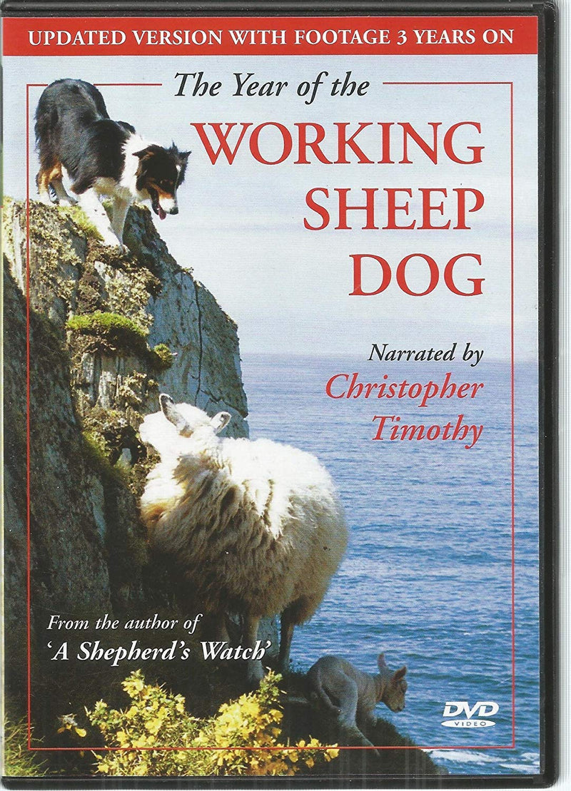 The Year of the Working Sheepdog
