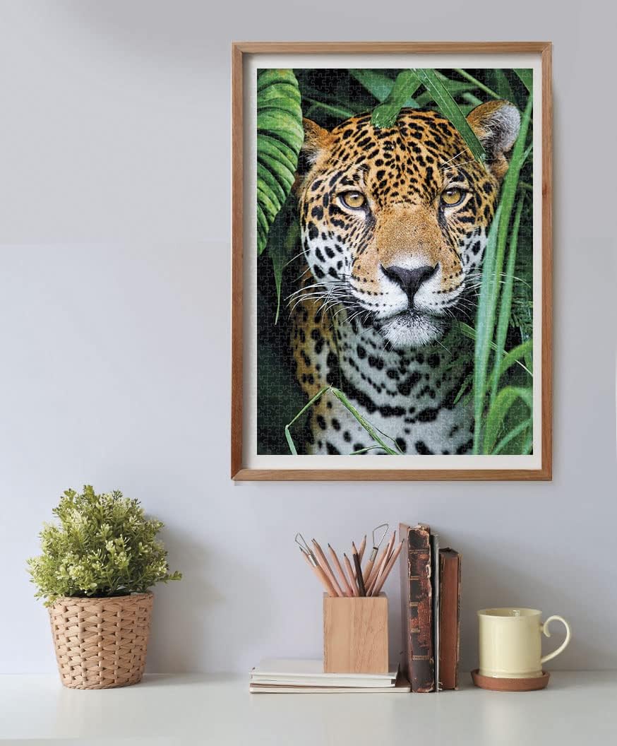 Clementoni 35127 en la Jungla 500pcs Animals Collection Jaguar in The Jungle 500 Pieces, Made in Italy, Jigsaw Puzzle for Adults, Multicolor, Medium