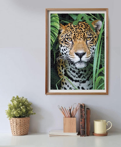 Clementoni 35127 en la Jungla 500pcs Animals Collection Jaguar in The Jungle 500 Pieces, Made in Italy, Jigsaw Puzzle for Adults, Multicolor, Medium
