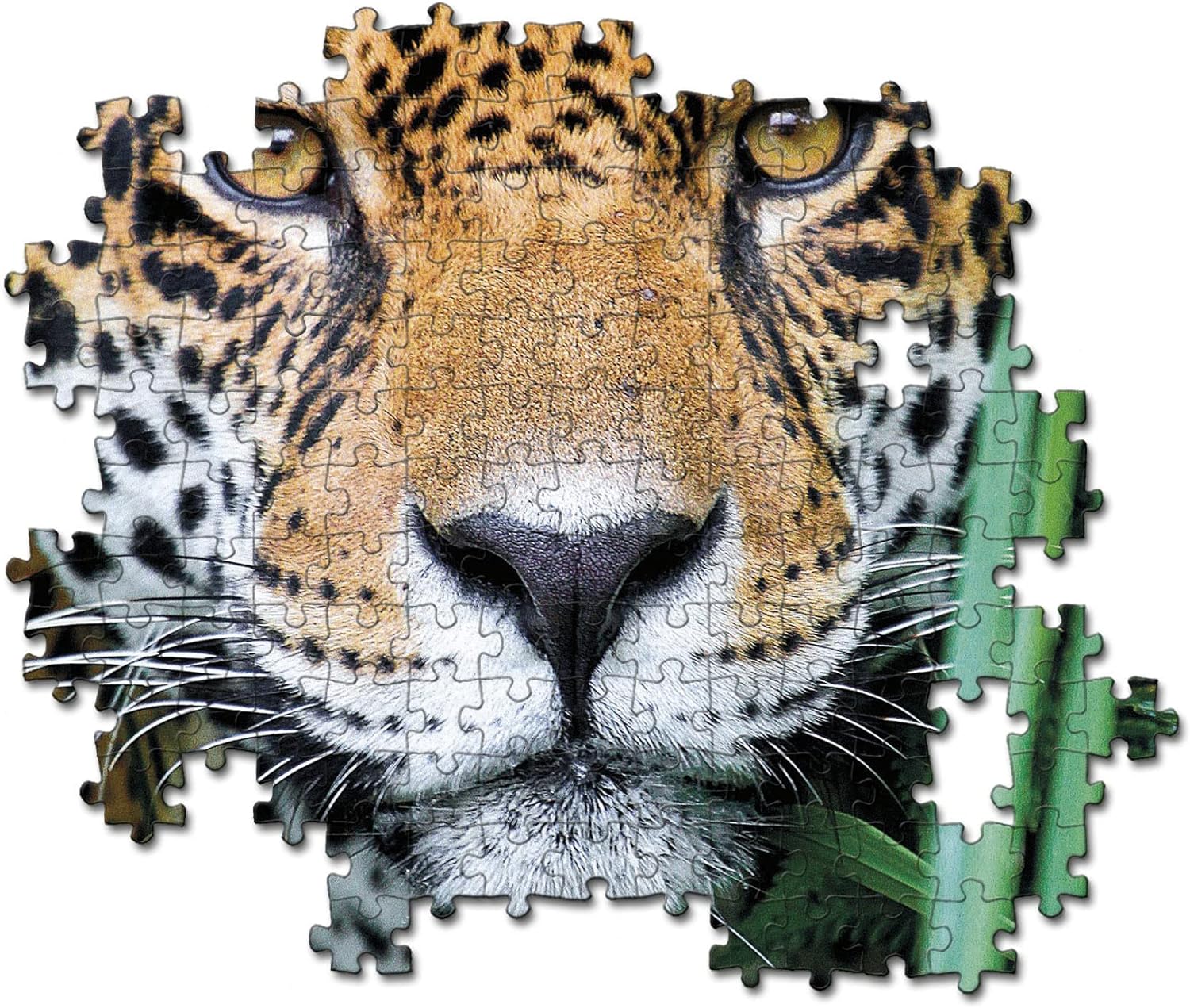 Clementoni 35127 en la Jungla 500pcs Animals Collection Jaguar in The Jungle 500 Pieces, Made in Italy, Jigsaw Puzzle for Adults, Multicolor, Medium