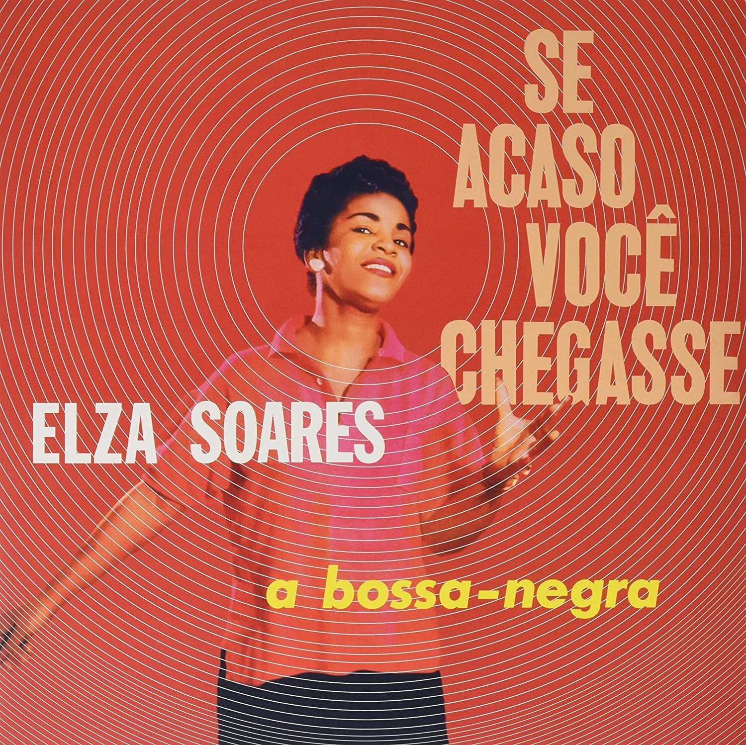 Se Acaso Você Chegasse