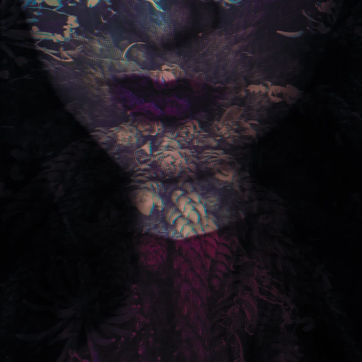 HANTE-FIERCE -DIGI-
