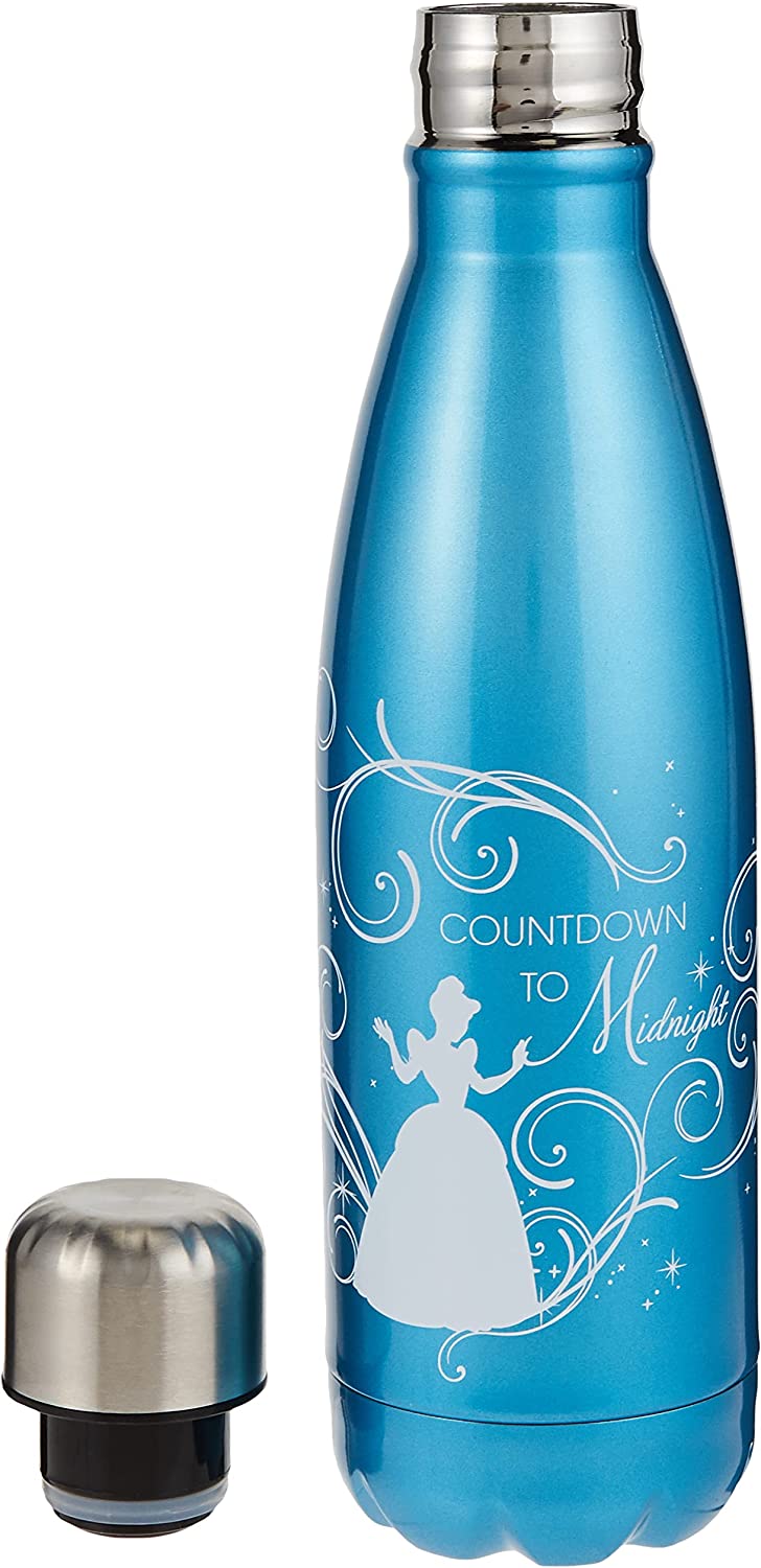 Funko Metal Water Bottle, Stainless Steel, Multicolour, 500ml