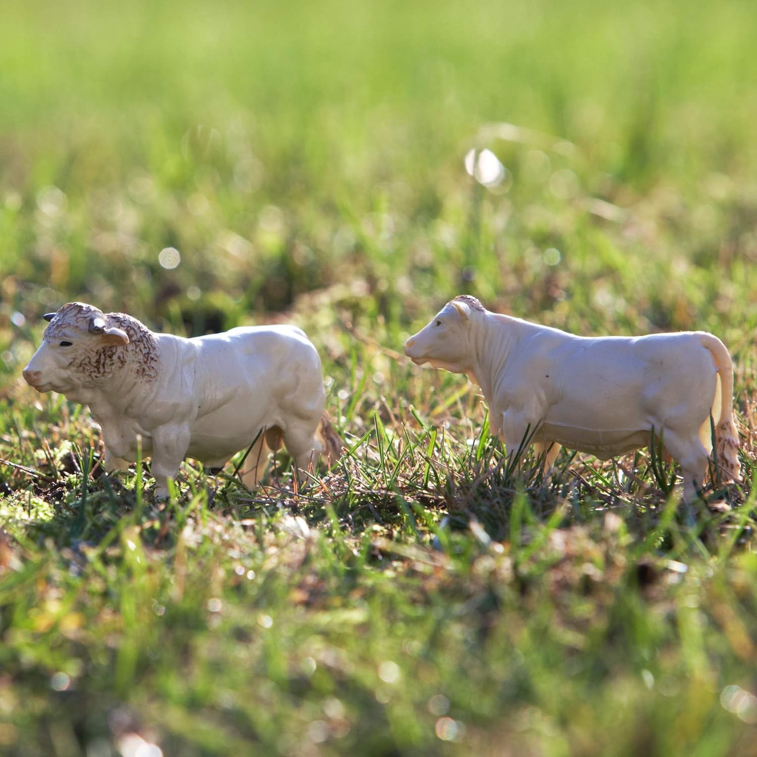 Britains Tomy Figuras de Colección, Juego de 3 Figuras de Animales de plástico para Adultos 43240, 3 Vacas, Modelo a Escala 1/32, réplica Adaptada a niños de 3 años+, Color Blanco