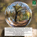 Bach: Sinfonias Preludes Fantasias