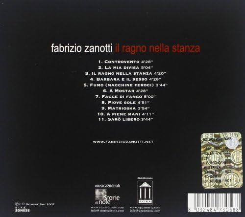 Il Ragno Nella Stanza