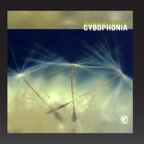 Cybophonia