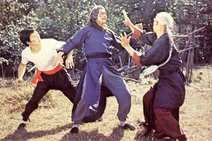 ASIA LINE - DER TODESFLUCH DES SHAOLIN