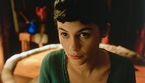 Le fabuleux destin d'amélie poulain