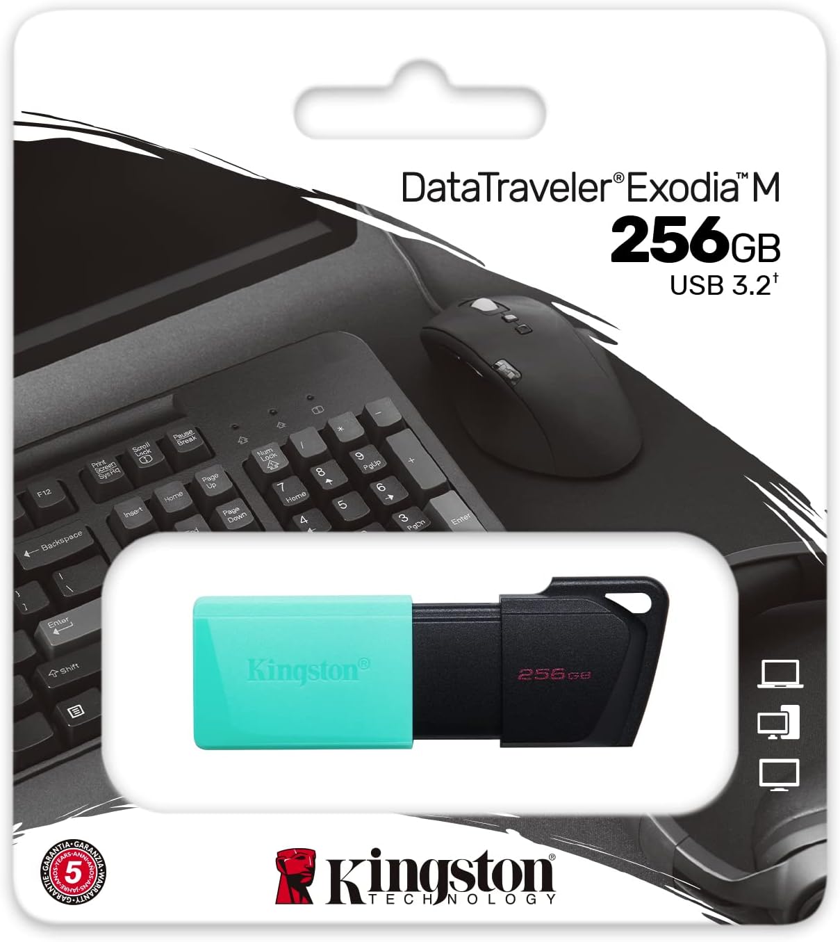 Kingston DataTraveler Exodia M USB 3.2 Gen 1 DTXM/256GB- with Moving Cap (Black + Teal